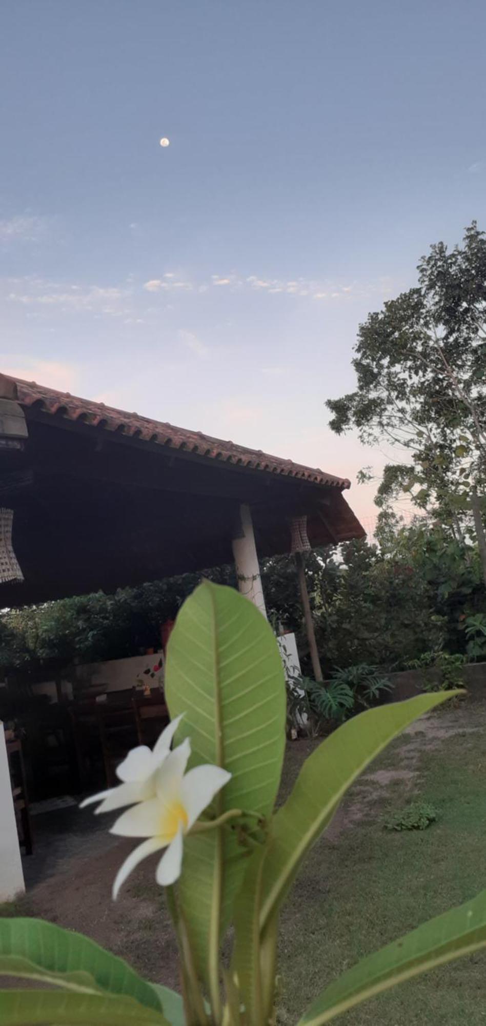 Pousada Reis Magos Nova Caraíva Extérieur photo